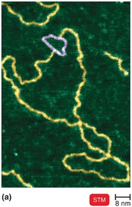 Scanning tunneling microscopy image of DNA
