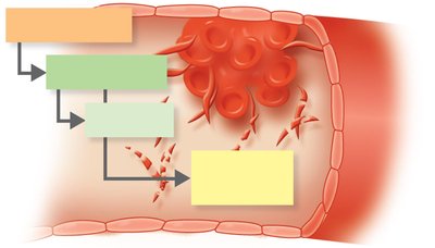 Mechanism of streptokinase in breaking down blood clots