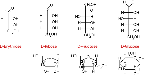 Structures of common sugars