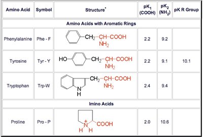 Amino acids and their pKa values