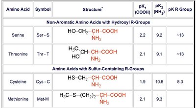 Amino acids and their pKa values