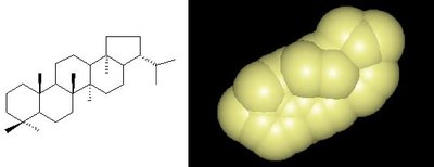 Hopanoids add strength to membranes