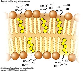 Archaeal membrane lipids