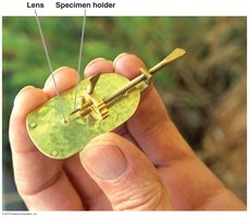 Leeuwenhoek’s microscope