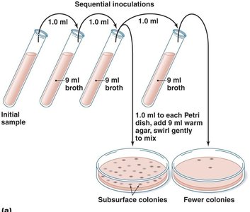 Pour plate method