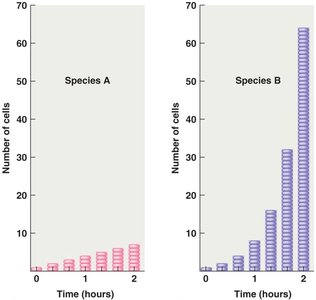 Exponential vs arithmetic growth