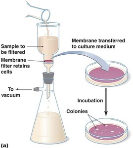Membrane filtration method