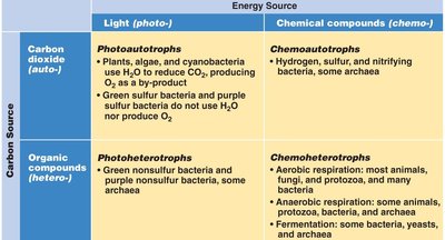 Table of microbial nutritional classifications