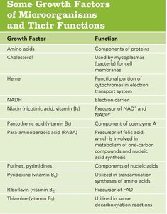 Table of microbial growth factors and their functions