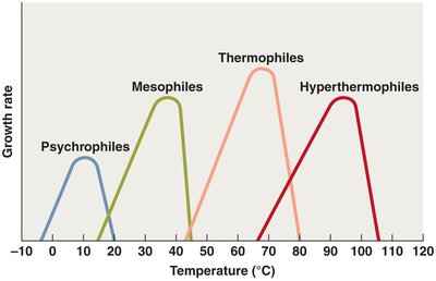 Temperature ranges for microbial classification
