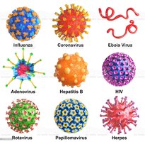 Viruses assembling inside cell