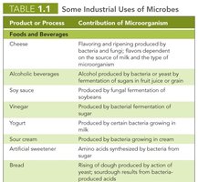 Industrial uses of microbes table