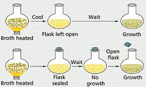 Redi's experiment jars
