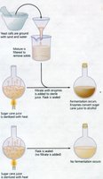Fermentation experiment