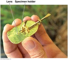 Handheld microscope used by van Leeuwenhoek