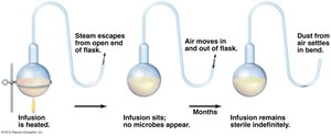 Pasteur's swan-neck flask experiment