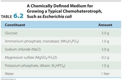 Chemically defined medium for E. coli
