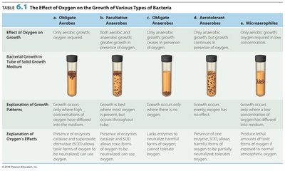 Table: Effect of oxygen on the growth of various types of bacteria