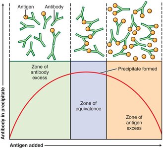 Precipitation curve