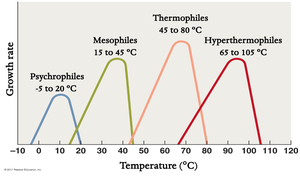 Growth rate of microbes at different temperature ranges