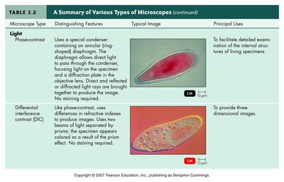 Darkfield microscopy image