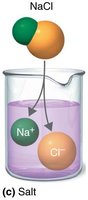 Salt dissociation (NaCl)