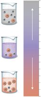 The pH scale