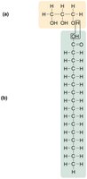 Structural formula of a simple lipid (fatty acid)