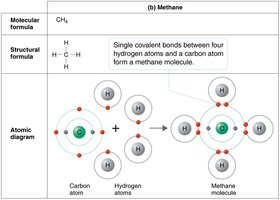 Covalent bond formation: methane molecule