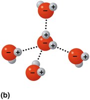 Hydrogen bonding in water