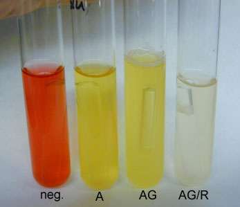 Durham sugar tube test results