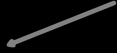 Glycocalyx structure