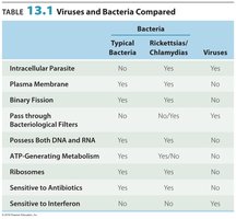 Table comparing viruses and bacteria