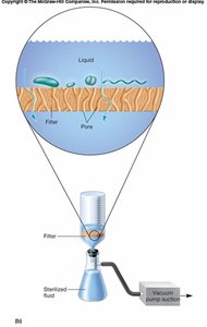 Diagram of airflow in a biosafety cabinet with HEPA filter