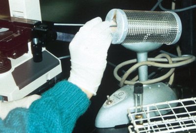 Dry heat sterilization using an incinerator