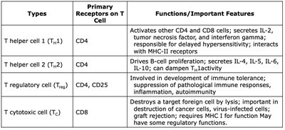 Table of T cell types, receptors, and functions