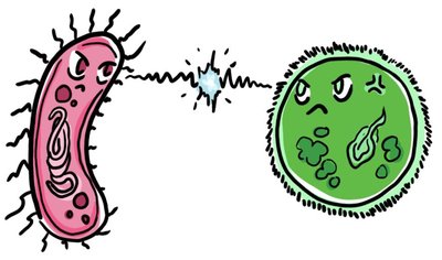 Microbial antagonism cartoon