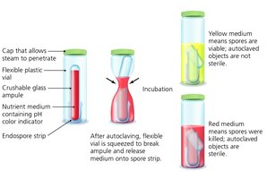 Sterility indicators for autoclaving