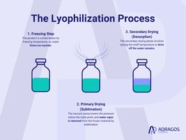 Lyophilization process diagram