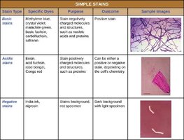 Table of simple stains