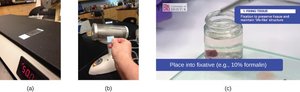 Heat fixation methods