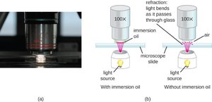 Oil immersion technique in microscopy