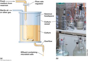 Continuous culture device (chemostat)
