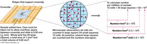 Direct microscopic counting procedure