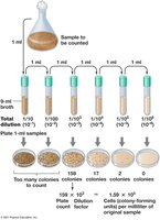 Serial dilution and viable counting