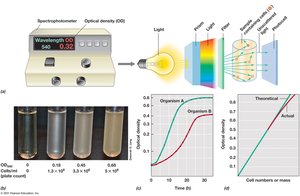Turbidity measurements of microbial growth