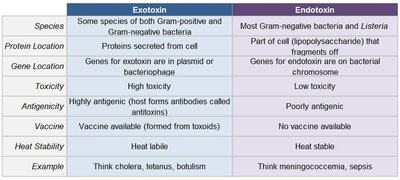 Comparison of exotoxins and endotoxins