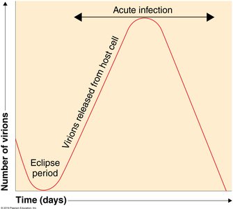 One-step growth curve of viral replication