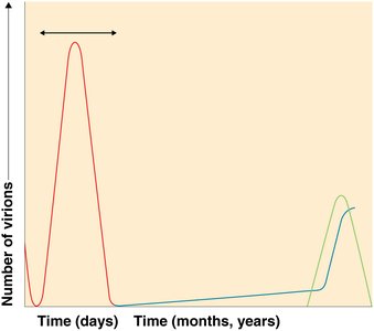Latent and persistent viral infections graph