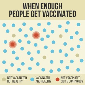 Herd immunity diagram showing vaccinated and unvaccinated individuals